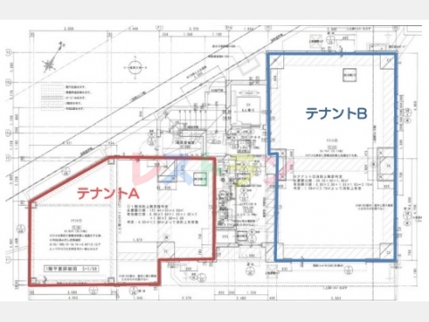 平面図